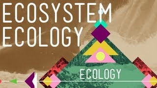 Ecosystem Ecology Links in the Chain  Crash Course Ecology 7 [upl. by Pradeep]