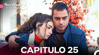 Secretos De La Vida Capítulo 25 Doblado En Español [upl. by Julissa41]