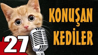 Konuşan Kediler 27  En Komik Kedi Videoları [upl. by Nolrah738]