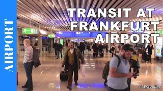 TRANSIT WALK AT FRANKFURT Airport FRA Terminal 1  Connection Flight Transfer Arriving amp Departing [upl. by Alva]