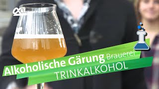 Trinkalkohole die alkoholische Gärung  alpha Lernen erklärt Chemie [upl. by Eivol403]