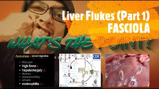 LIVER FLUKES Part 1 of 2  FASCIOLA [upl. by Birck986]