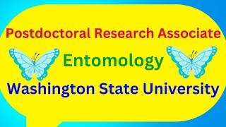 Postdoctoral Research Associate Entomology Washington State University [upl. by Eugenie]