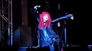 Cyndi Lauper  Live at the Nippon Budokan FULL CONCERT 2015 [upl. by Annaej]