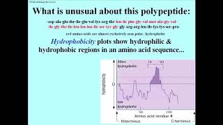 287 Hydropathy Predicts Hydrophobic Domains and Membrane Proteins [upl. by Goeger]