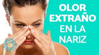 Endoscopia Nasosinusal Qué es y cómo se realiza [upl. by Nenney812]