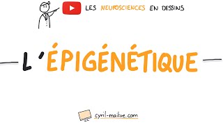 LÉPIGÉNÉTIQUE  Les neurosciences en dessins [upl. by Ohce210]