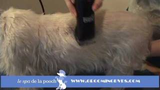 How To Groom A WestieTrim The Traditional West Highland TerrierCut With Andis Clippers [upl. by Annawek]