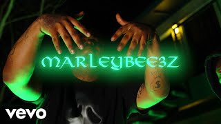 Marleybee3z  EBK Jaaybo Diss [upl. by Notliw229]