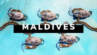 MALDIVES TRAVEL DOCUMENTARY  The Pearls of the Indian Ocean [upl. by Jaynes]