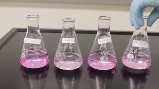 Titration Video [upl. by Ariana]