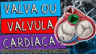 Valvas cardíacas  BICÚSPIDE TRICÚSPIDE MITRAL ÁTRIOVENTRICULAR SEMILUNARES [upl. by Annayd]