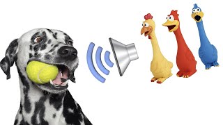 Dog Squeaky Toy  Sounds that attract your dogs attention HQ [upl. by Collette266]