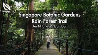 Singapore Botanic Gardens Rain Forest Trail  An NParks Virtual Tour [upl. by Itisahc]